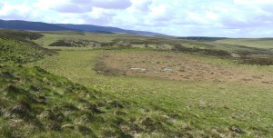 Blanket bog