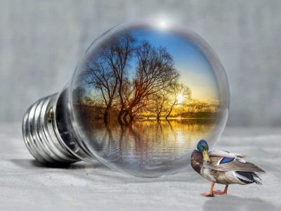 veganer strom ist mehr als ökostrom