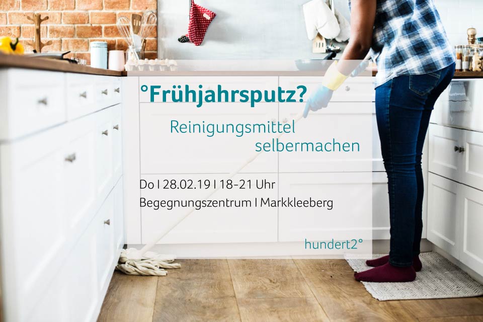Flyer Workshop Markkleeberg Reinigungsmittel selbermachen