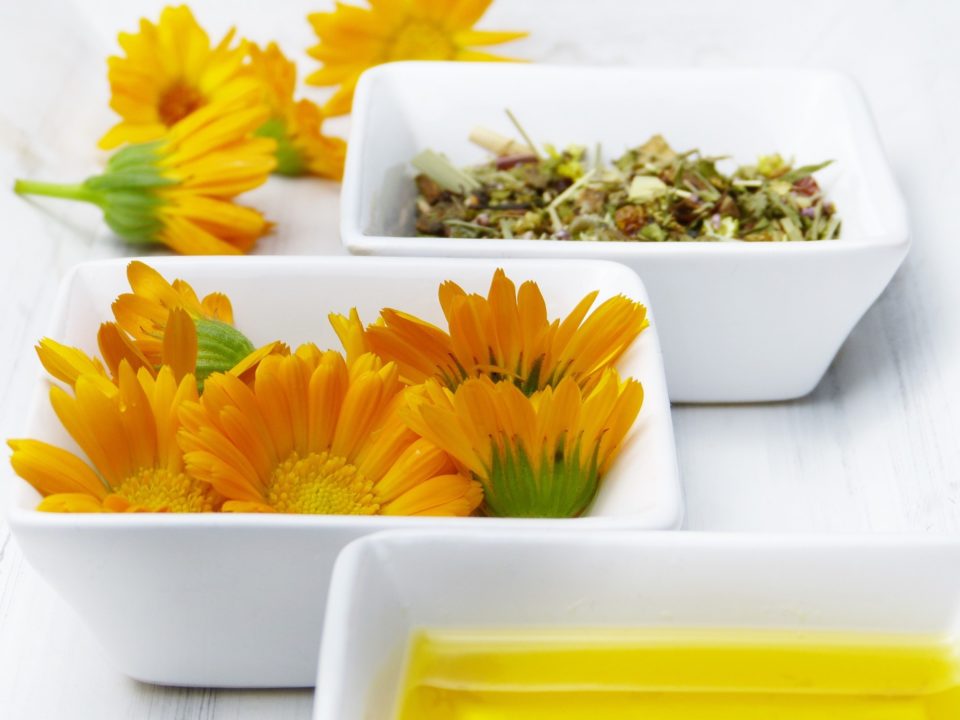 Ringelblumen Pflegeöl